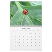 What's Buggin' You - Incent Calendar Edition 2 カレンダー (1月 2026)