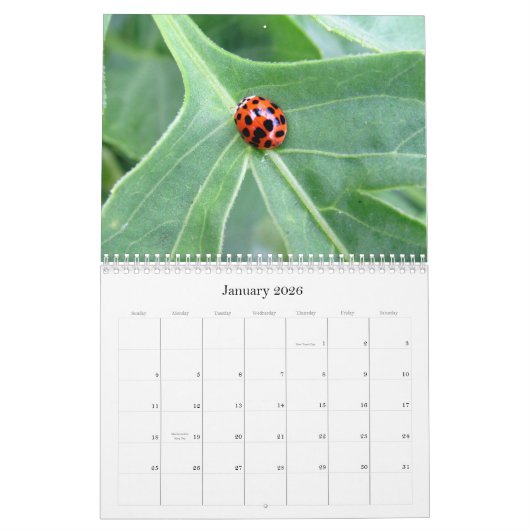 What's Buggin' You - Incent Calendar Edition 2 カレンダー (1月 2026)