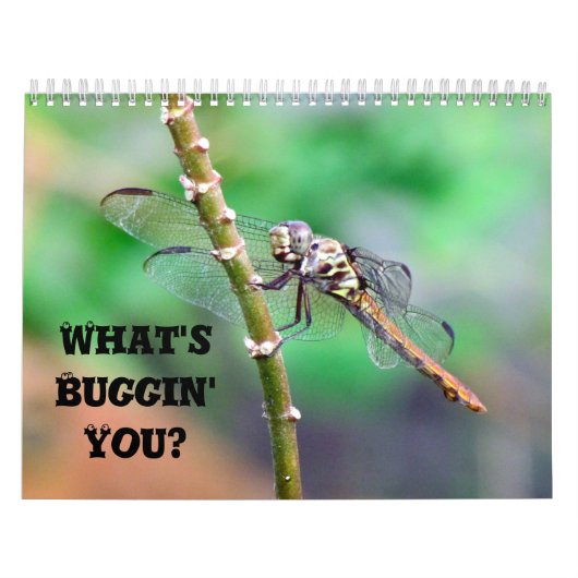 What's Buggin' You - Incent Calendar Edition 2 カレンダー (カバー)