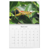 What's Buggin' You - Insect Calendar - Edition 1 カレンダー (3月 2027)