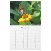 What's Buggin' You - Insect Calendar - Edition 1 カレンダー (2月 2027)