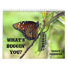 What's Buggin' You - Insect Calendar - Edition 1 カレンダー
