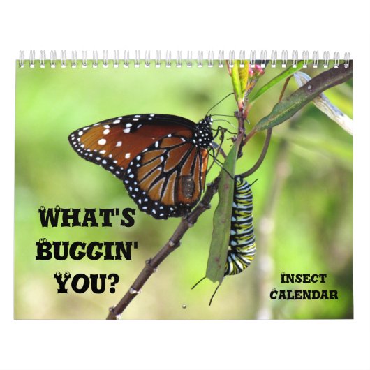 What's Buggin' You - Insect Calendar - Edition 1 カレンダー (カバー)