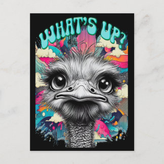 Whats Up? ポストカード