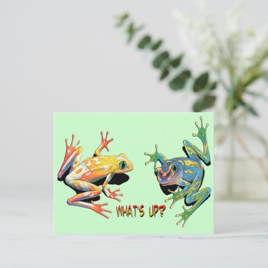 What's Up Frogs ポストカード (スタンド正面)
