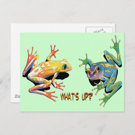 What's Up Frogs ポストカード (正面/裏面)