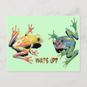What's Up Frogs ポストカード (正面)