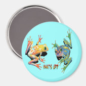 What's Up Frogs マグネット (正面/裏面)