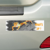 What's up? Gecko, leopard gecko, バンパーステッカー (車上)