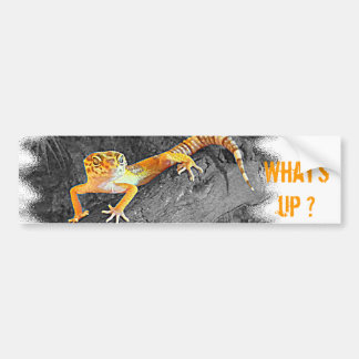What's up? Gecko, leopard gecko, バンパーステッカー