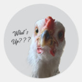 What's Up Henステッカー ラウンドシール (正面)