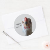 What's Up Henステッカー ラウンドシール (封筒)