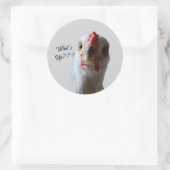 What's Up Henステッカー ラウンドシール (バッグ)