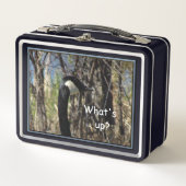 What's Up Metal Lunch Box メタルランチボックス (正面)