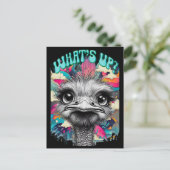 Whats Up? Ostrich - Funny Postcard ポストカード (スタンド正面)