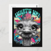 Whats Up? Ostrich - Funny Postcard ポストカード (正面/裏面)