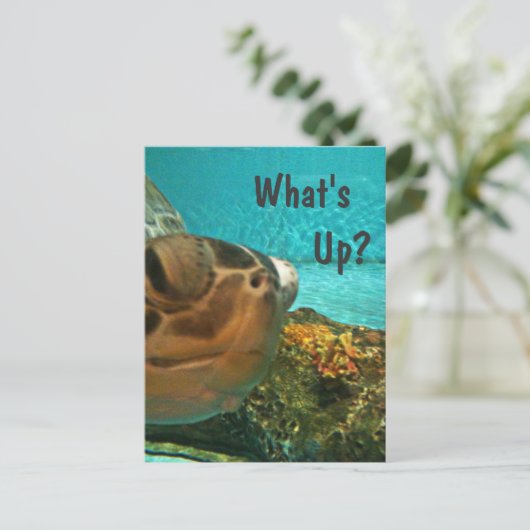 What's Up Turtle Selfie ポストカード (スタンド正面)