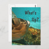 What's Up Turtle Selfie ポストカード (正面/裏面)