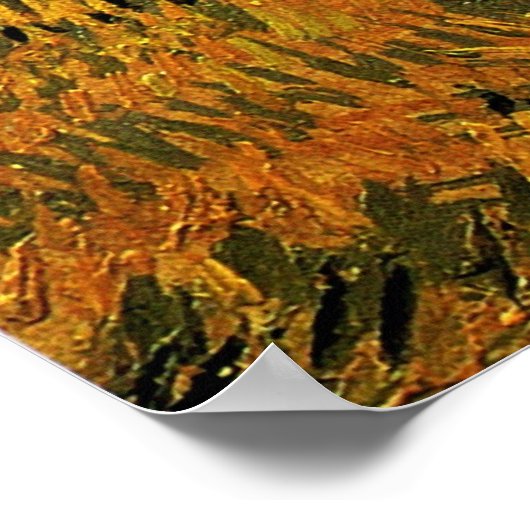 Wheat Field with a Lark (van Gogh) ポスター (角)