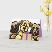 Wheatenテリアのトリオの誕生日 カード (黄色い花)