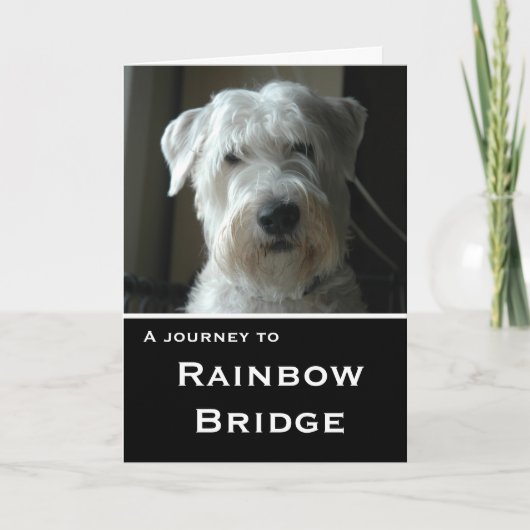 Wheatenテリアの悔やみや弔慰カード カード (正面)