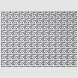 WHEATENテリアブラックトワール 薄葉紙