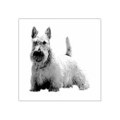 Wheaten Scotish terrier happy/front-sisting view ラバースタンプ (インプリント)