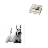 Wheaten Scotish terrier happy/front-sisting view ラバースタンプ (押印)