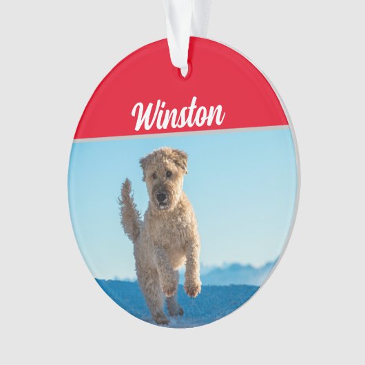 Wheaten Terier氏、名前と写真のクリスマス オーナメント (正面)