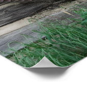 Wheel 素朴 16x20ポスター ポスター (角)