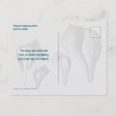 Whelk Seashells Comparison Photography ポストカード (裏面)