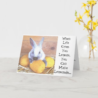 『When Life 与え  You Lemons Bunny Card』(When Life  Y カード