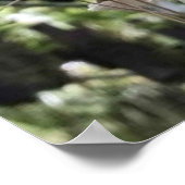 When nature copies nature. ポスター (角)