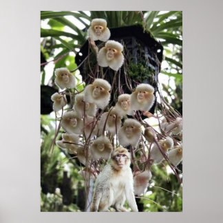 When nature copies nature. ポスター