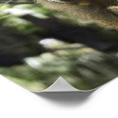 When nature copies nature. ポスター (角)