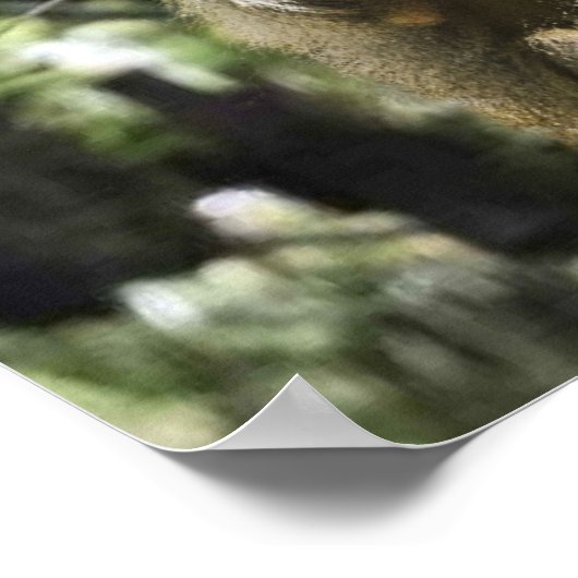 When nature copies nature. ポスター (角)