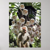 When nature copies nature. ポスター (正面)