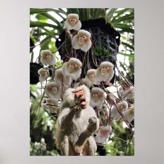 When nature copies nature. ポスター (正面)