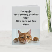 When the Cat Cares.. Just a Little –Funny Birthday カード (正面)