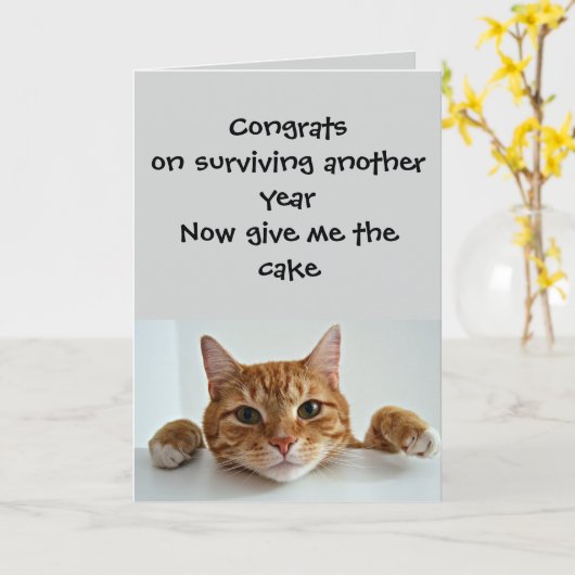 When the Cat Cares.. Just a Little –Funny Birthday カード (黄色い花)