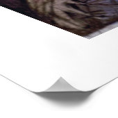 When the Fat Lady Sings Poster ポスター (角)