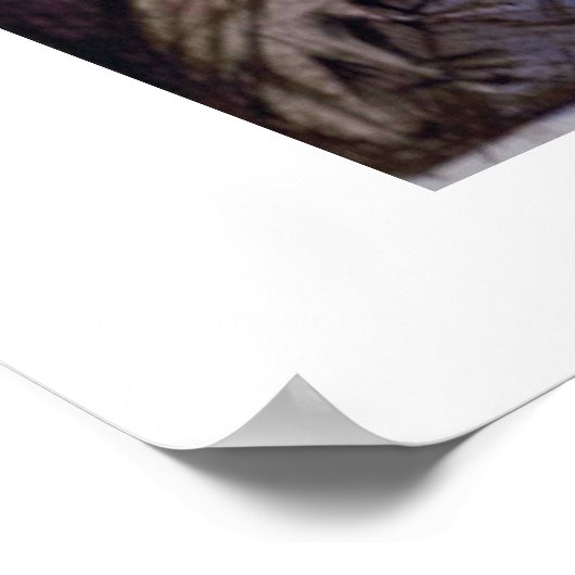 When the Fat Lady Sings Poster ポスター (角)