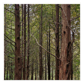 When the going gets tough, the tough get going ポスター