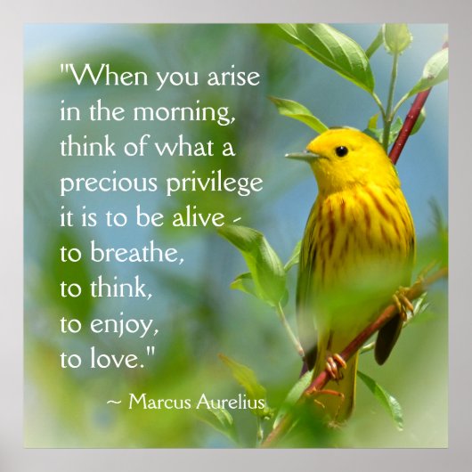 When You Arise Marcus Aurelius Inspiration引用文 ポスター (正面)