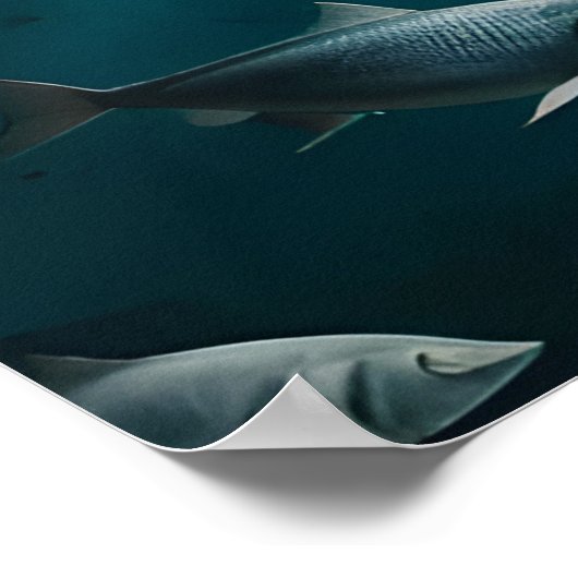 Where are They ポスター (角)