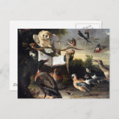 Where Bird Songs 来 From Where Bird Songs（鳥の歌の場所） ポストカード (正面/裏面)