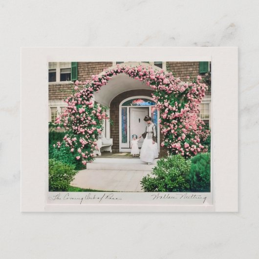 Where flowers bloom so does hope.  ポストカード (正面)