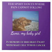 Where Her Spirit Still Shines タイル (正面)