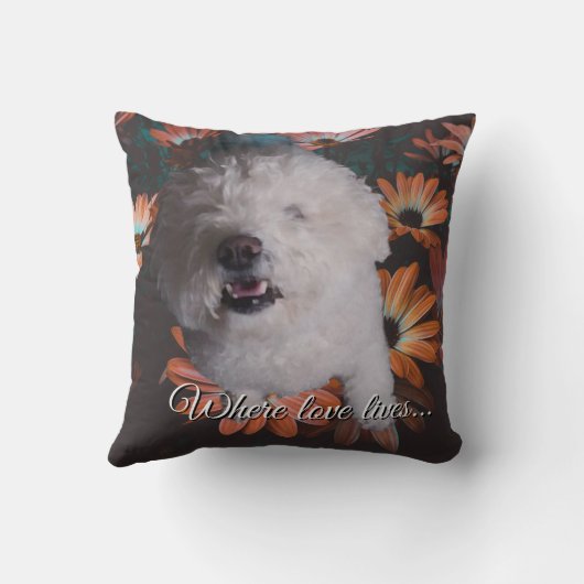 Where Love Lives  クッション (裏面)