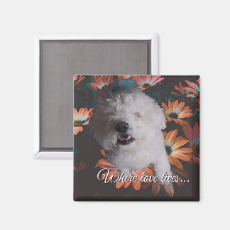 Where Love Lives Magnet マグネット